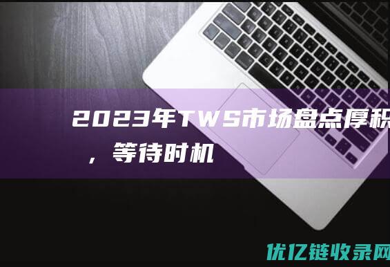 2023年TWS市场盘点厚积薄发，等待时机