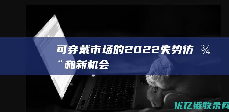 可穿戴市场的2022失势彷徨和新机会